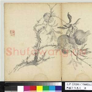 清恽寿平墨花 册 石榴|1幅|9.75 MB|高清下载
