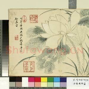 清陈书杂画 册 荷花|1幅|9.81 MB|高清下载