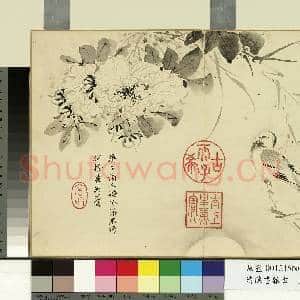 清陈书杂画 册 芙蓉寒雀|1幅|9.26 MB|高清下载