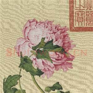 清郎世宁画仙萼长春 册 牡丹|5幅|60.91 MB|高清下载