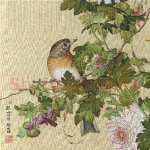 清郎世宁画仙萼长春 册 菊花|2幅|29.89 MB|高清下载