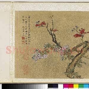 明曹有光孙杕画册 册 秋花红叶|2幅|19.28 MB|高清下载