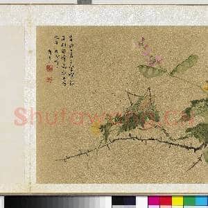明曹有光孙杕画册 册 野卉秋虫|1幅|11.29 MB|高清下载