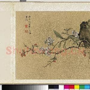 明曹有光孙杕画册 册 杞实秋花|1幅|11.55 MB|高清下载