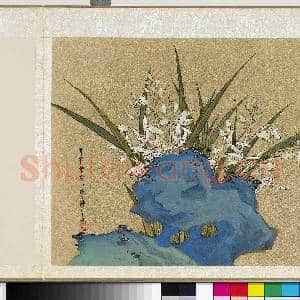 明曹有光孙杕画册 册 兰石图|1幅|11.51 MB|高清下载