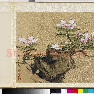 明曹有光孙杕画册 册 画茶花|1幅|11.47 MB|高清下载