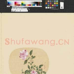 画幅集册 册 清蒋廷锡花卉|1幅|6.75 MB|高清下载