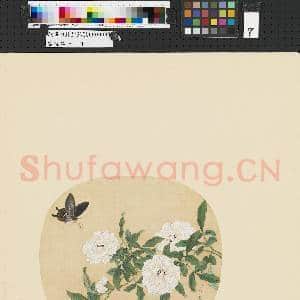 画幅集册 册 清蒋廷锡花卉|1幅|6.88 MB|高清下载