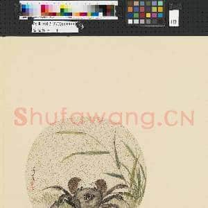 画幅集册 册 清蒋廷锡花卉|1幅|7.34 MB|高清下载