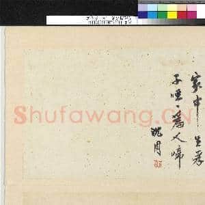 明沈周写意 册 慈乌图|3幅|27.84 MB|高清下载