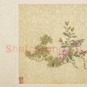 清马元驭花卉 册 海棠金盏柏子|3幅|32.41 MB|高清下载