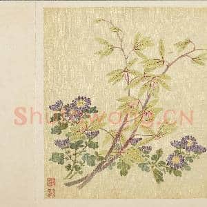 清马元驭花卉 册 蕙兰蓝菊|3幅|31.89 MB|高清下载