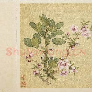 清马元驭花卉 册 桃花蚕豆花|3幅|32.92 MB|高清下载