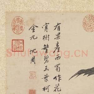 明沈周画枇杷 轴|6幅|51.34 MB|高清下载