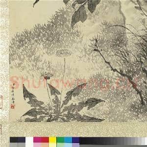 清金廷标画墨牡丹 轴|6幅|67.36 MB|高清下载