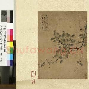 宋苏轼竹黄筌石榴合装 轴|3幅|30.17 MB|高清下载