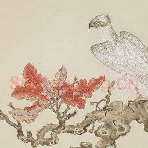 清杨大章画白鹰 轴|8幅|95.24 MB|高清下载