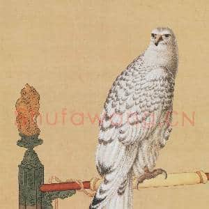 清贺清泰画白海青 轴|9幅|90.24 MB|高清下载