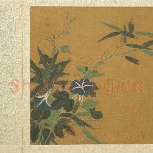 五代后蜀黄筌长春花鸟 册 牵牛花|3幅|32.29 MB|高清下载