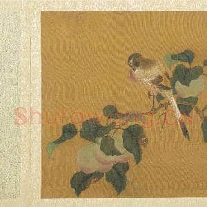 五代后蜀黄筌长春花鸟 册 苹婆翎毛|3幅|32.83 MB|高清下载