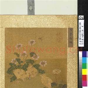 宋徐崇嗣画花卉 册 芳草新雏|2幅|22.48 MB|高清下载