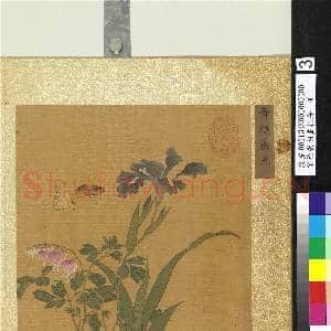 宋徐崇嗣画花卉 册 舞蝶垂鱼|2幅|22.84 MB|高清下载