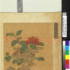 宋徐崇嗣画花卉 册 鹤顶凌寒|2幅|22.24 MB|高清下载