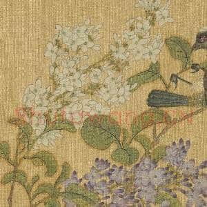 明仇英花鸟 册 紫薇白头翁|3幅|32.87 MB|高清下载