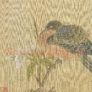 明仇英花鸟 册 梨花斑鸠|3幅|34.7 MB|高清下载