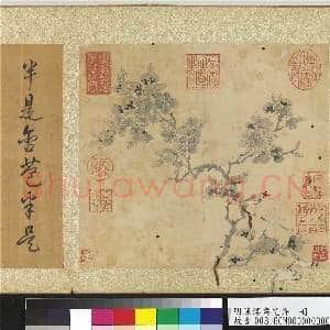 明陈淳画花卉 册 杏花|2幅|25.8 MB|高清下载