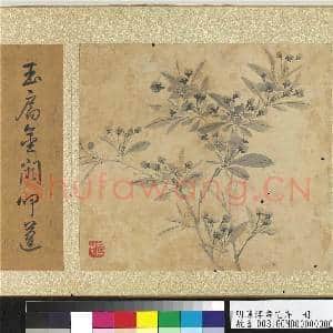 明陈淳画花卉 册 海棠|2幅|25.86 MB|高清下载