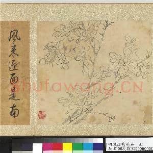 明陈淳画花卉 册 蔷薇|2幅|25.53 MB|高清下载