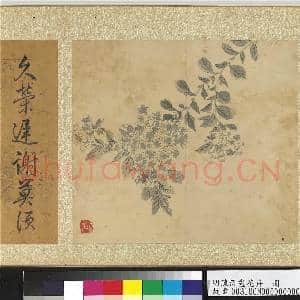 明陈淳画花卉 册 紫薇|2幅|25.4 MB|高清下载