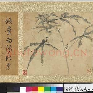 明陈淳画花卉 册 秋葵|2幅|25.5 MB|高清下载