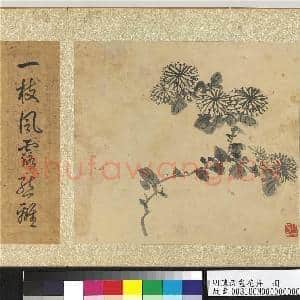 明陈淳画花卉 册 菊花|2幅|25.34 MB|高清下载
