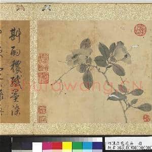 明陈淳画花卉 册 茶花|2幅|25.74 MB|高清下载