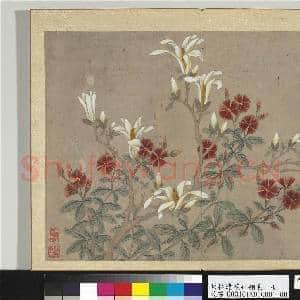 明林达花卉翎毛 册 辛夷石竹|1幅|13.15 MB|高清下载