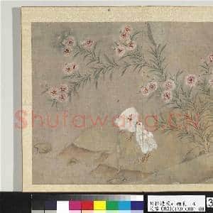 明林达花卉翎毛 册 剪秋罗鸡|1幅|13.2 MB|高清下载