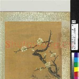 清王武摹古花卉十二帧 册 梅竹|1幅|11.38 MB|高清下载