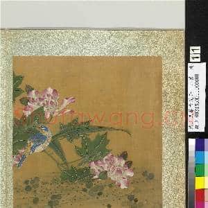 清王武摹古花卉十二帧 册 芙蓉翡翠|1幅|11.37 MB|高清下载