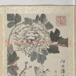 清王武花卉 册 墨画牡丹|4幅|46.65 MB|高清下载