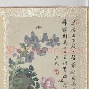 清王武花卉 册 僧鞋菊月季花|3幅|33.39 MB|高清下载