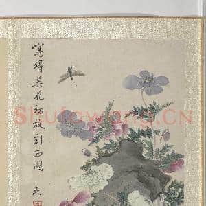 清王武花卉 册 虞美人|3幅|33.97 MB|高清下载