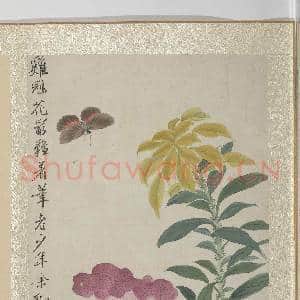 清王武花卉 册 鸡冠花|3幅|33.47 MB|高清下载
