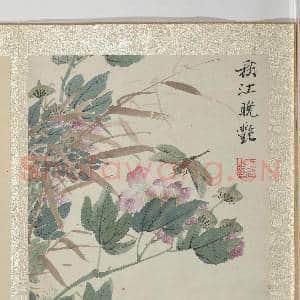 清王武花卉 册 芙蓉花|3幅|33.3 MB|高清下载