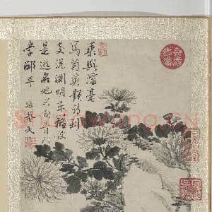 清王武花卉 册 墨画菊|3幅|34.71 MB|高清下载