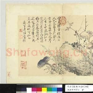 清恽寿平写生 册 芝草|1幅|9.66 MB|高清下载