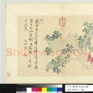清恽寿平写生 册 青芥|1幅|9.28 MB|高清下载