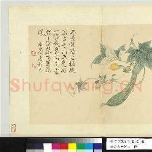 清恽寿平写生 册 瓜蔓|1幅|9.21 MB|高清下载