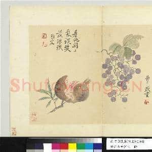 清恽寿平写生 册 葡萄石榴|1幅|9.31 MB|高清下载